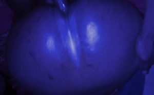 view-pic-31